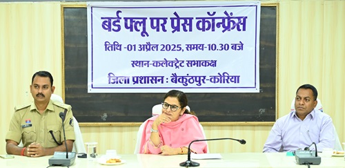 कोरिया जिला में बर्ड फ्लू की पुष्टि के बाद कलेक्टर की प्रेस कांफ्रेंस कोरिया जिला में बर्ड फ्लू की पुष्टि के बाद कलेक्टर की प्रेस कांफ्रेंस