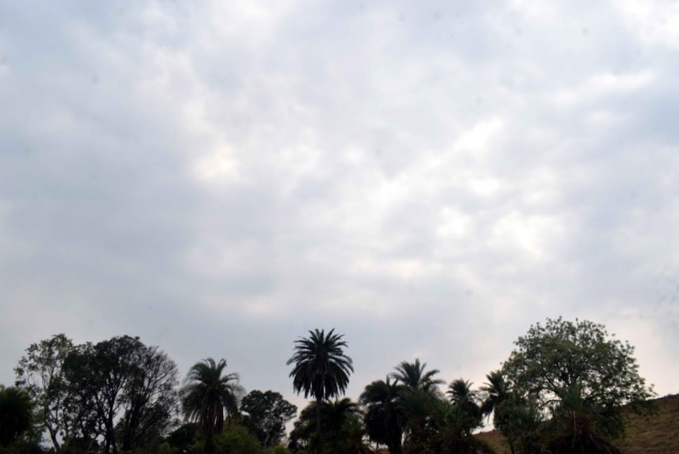 राजधानी भोपाल में बादल छाए राजधानी भोपाल में बादल छाए