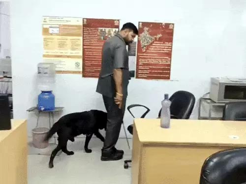 डॉग स्क्वायड लघु सचिवालय की जांच करते हुए