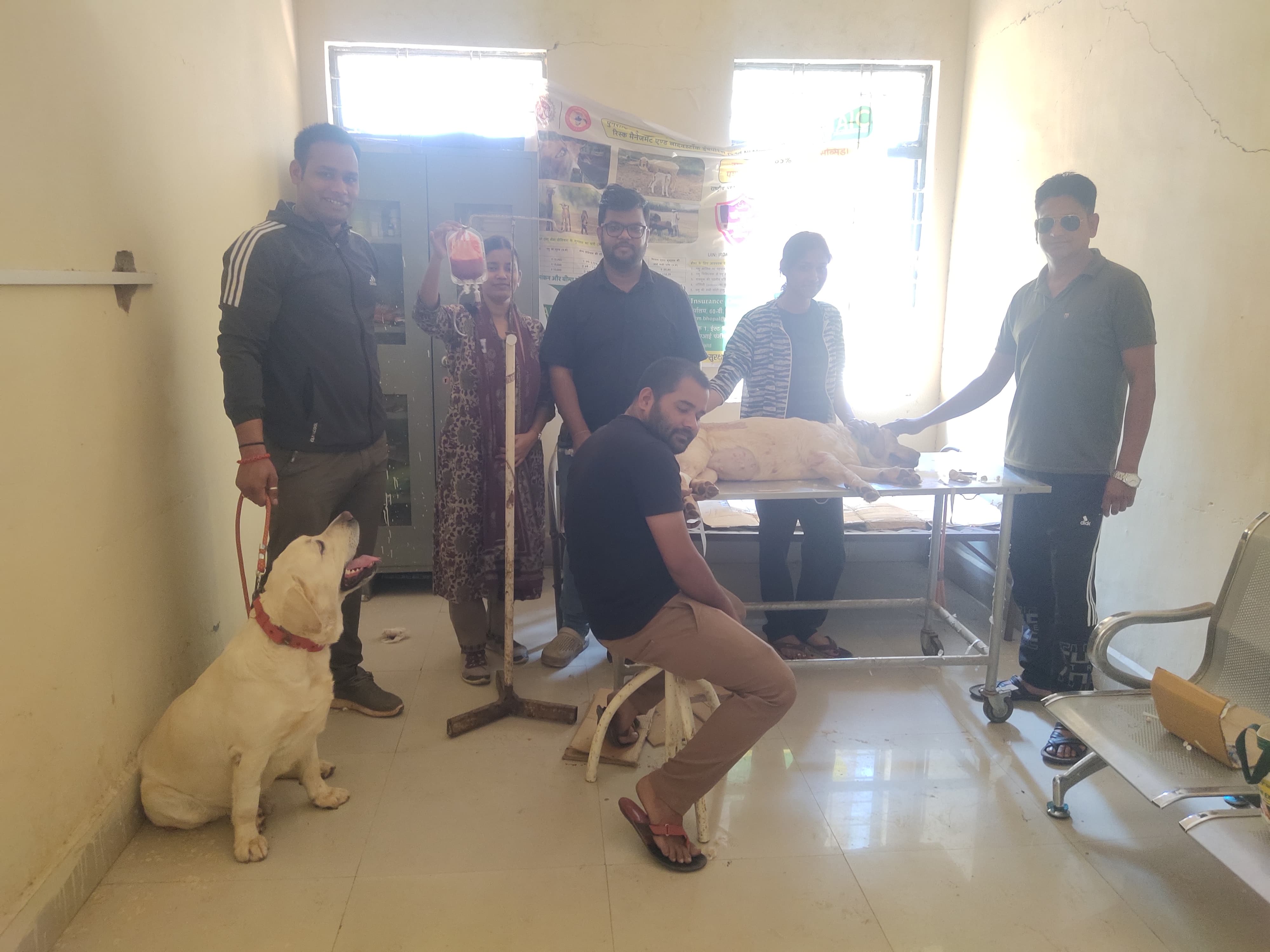 अशोकनगर: जब कुत्ती को रक्तदान कर कुत्ते ने बचाई जान, पशु सेवा प्रेम की मिसाल अशोकनगर: जब कुत्ती को रक्तदान कर कुत्ते ने बचाई जान, पशु सेवा प्रेम की मिसाल