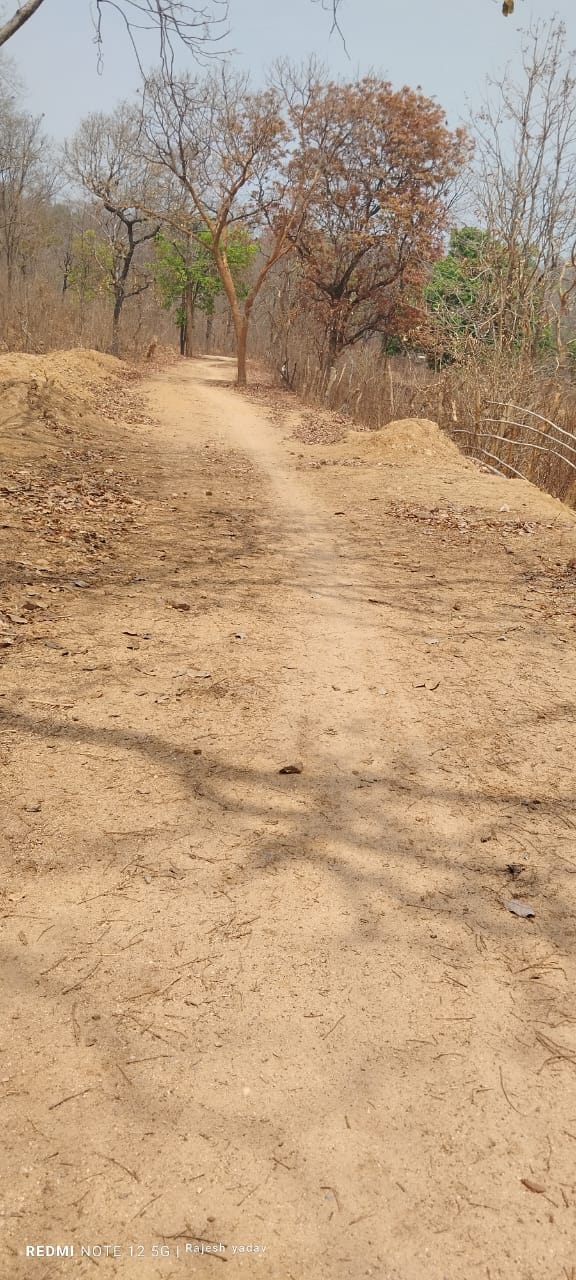 ग्राम पंचायत कोड़ेगांव (रैय्यत) डुबान के आश्रित ग्राम सटियारा की कच्ची सड़क। ग्राम पंचायत कोड़ेगांव (रैय्यत) डुबान के आश्रित ग्राम सटियारा की कच्ची सड़क।
