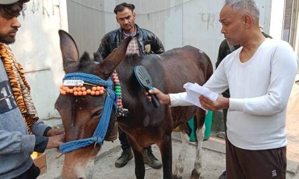 केदारनाथ यात्रा के लिए पंजीकरण करवाता एक पशुपालक। केदारनाथ यात्रा के लिए पंजीकरण करवाता एक पशुपालक।