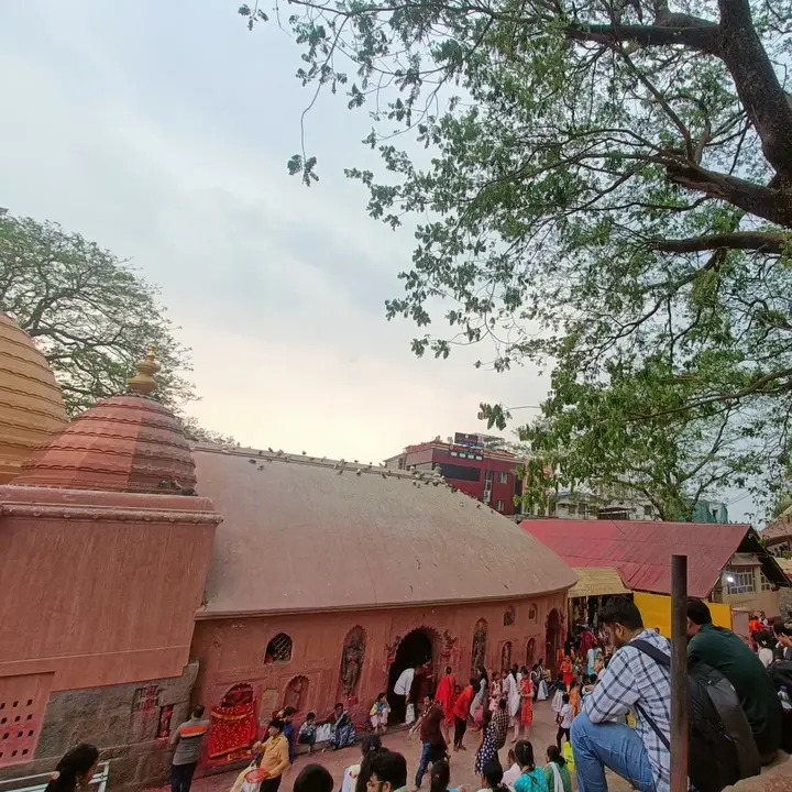 कामाख्या धाम सहित गुवाहाटी में धूमधाम से मनाया गया बासंती पूजा। कामाख्या धाम सहित गुवाहाटी में धूमधाम से मनाया गया बासंती पूजा।