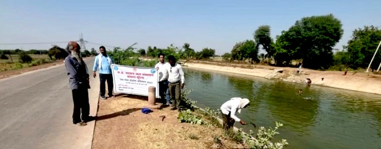 मुरैना में अम्बाह शाखा नहर में सफाई कार्य मुरैना में अम्बाह शाखा नहर में सफाई कार्य
