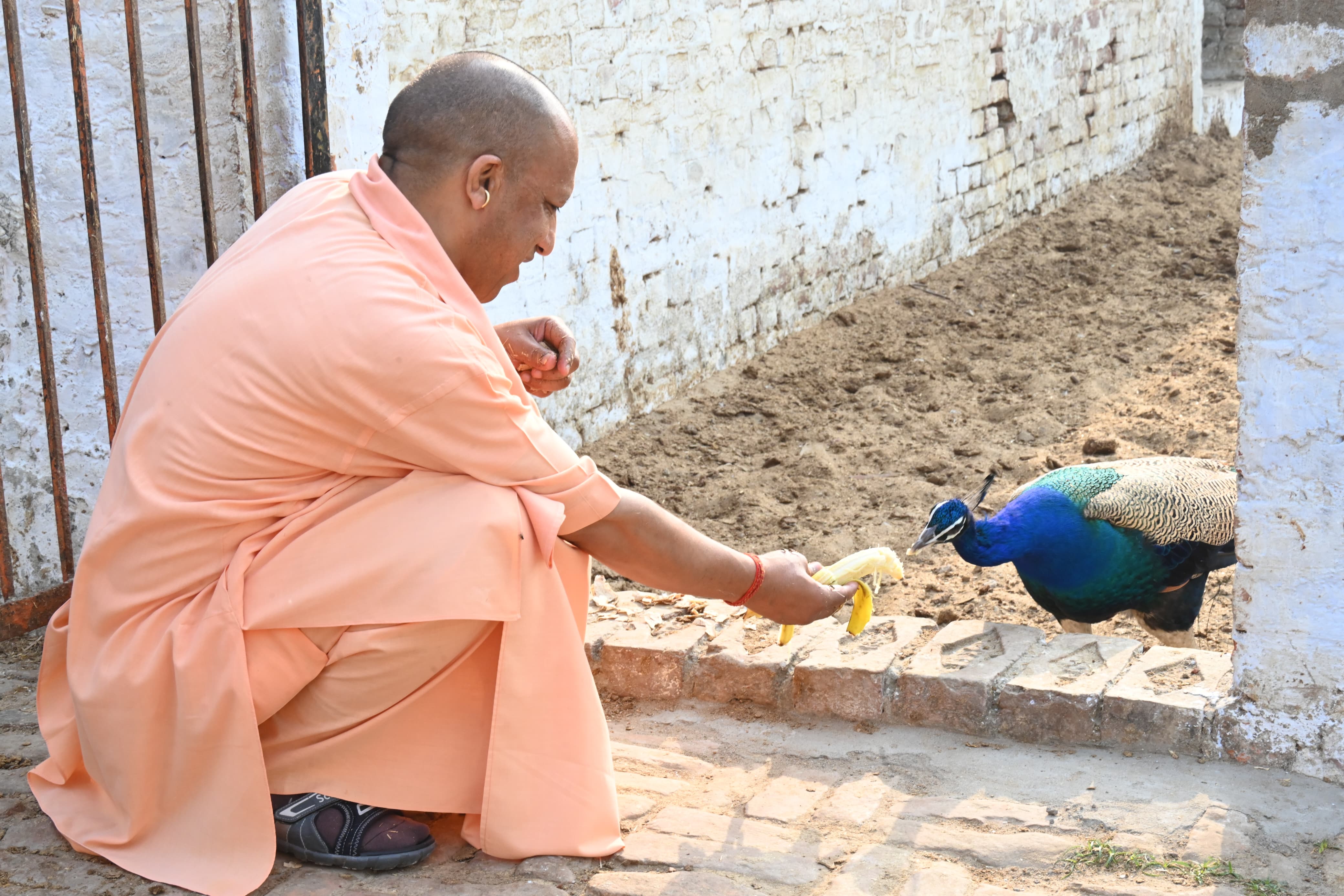 *जनता दर्शन में सीएम योगी ने सुनीं 300 लोगों की समस्याएं*