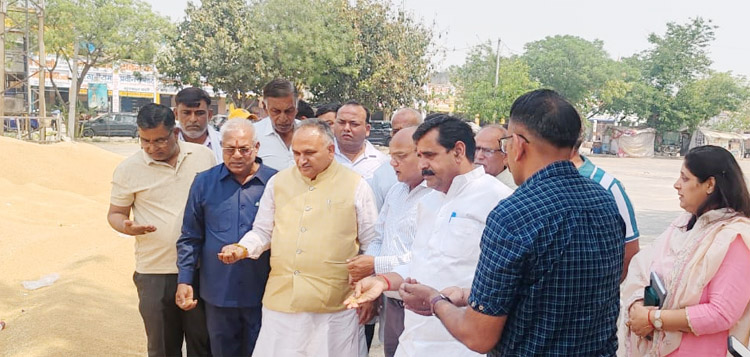 सोनीपत: नगर निगम मेयर राजीव जैन अनाज मंडी मंे गेहूं खरीद प्रक्रिया का निरीक्षण करते हुए। सोनीपत: नगर निगम मेयर राजीव जैन अनाज मंडी मंे गेहूं खरीद प्रक्रिया का निरीक्षण करते हुए।