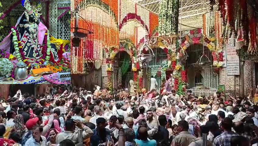 फूलबंगले के बीच भक्ताें का दर्शन देते बांकेबिहारी महाराज फूलबंगले के बीच भक्ताें का दर्शन देते बांकेबिहारी महाराज