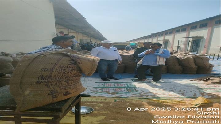 ग्वालियरः उपार्जन केन्द्रों पर गेहूँ बेचने आए किसानों का फूल-मालाओं से हो रहा स्वागत
