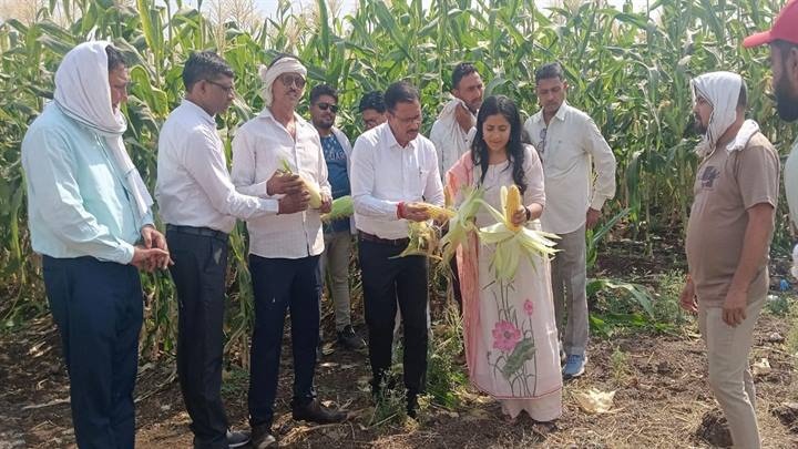 खरगोनः कलेक्टर ने शाहपुरा, बोरगांव, बैजापुर में पपीता एवं स्वीट कार्न मक्का की खेती का किया निरीक्षण खरगोनः कलेक्टर ने शाहपुरा, बोरगांव, बैजापुर में पपीता एवं स्वीट कार्न मक्का की खेती का किया निरीक्षण