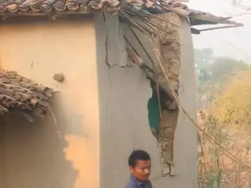 कोरबा : हाथियों का आतंक, 4 घरों को तोड़ा, धान भी खाया कोरबा : हाथियों का आतंक, 4 घरों को तोड़ा, धान भी खाया