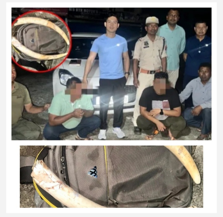 कोकराझाड़ में हाथी के दांत के साथ गिरफ्तार तस्कर की तस्वीर। कोकराझाड़ में हाथी के दांत के साथ गिरफ्तार तस्कर की तस्वीर।