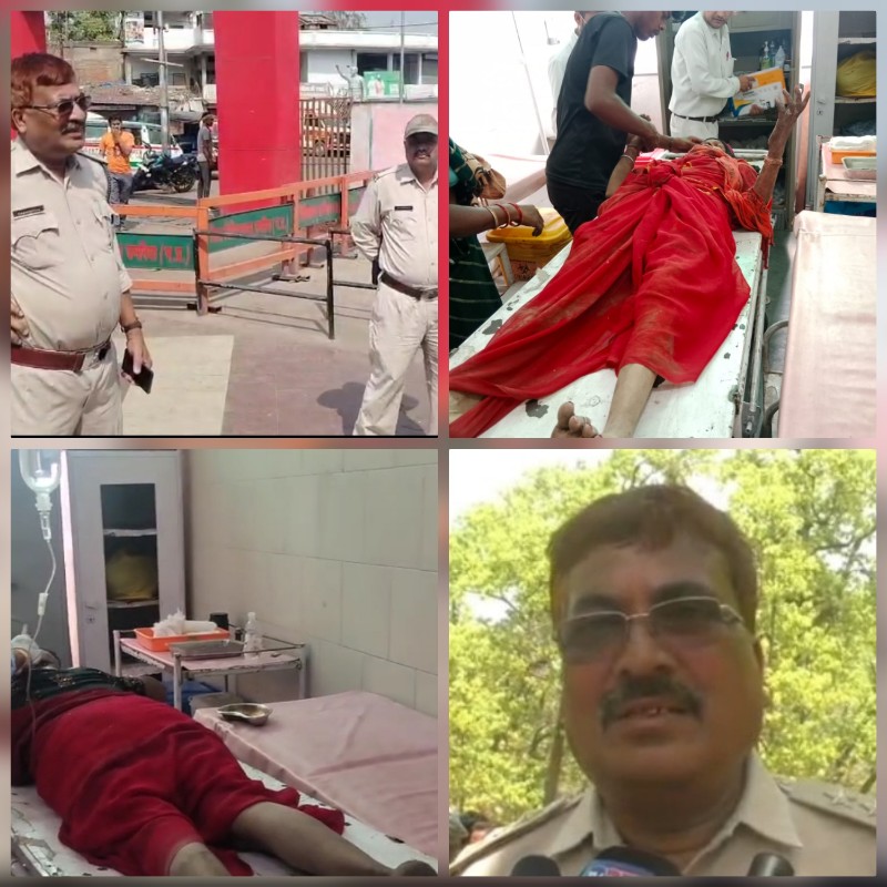 बाघिन के हमले से महुआ बीनने गई महिला घायल बाघिन के हमले से महुआ बीनने गई महिला घायल
