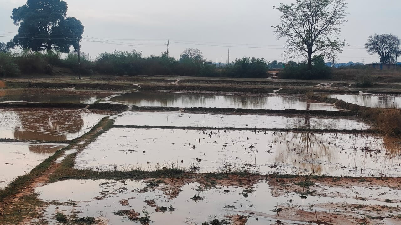 बारिश का नजारा बारिश का नजारा
