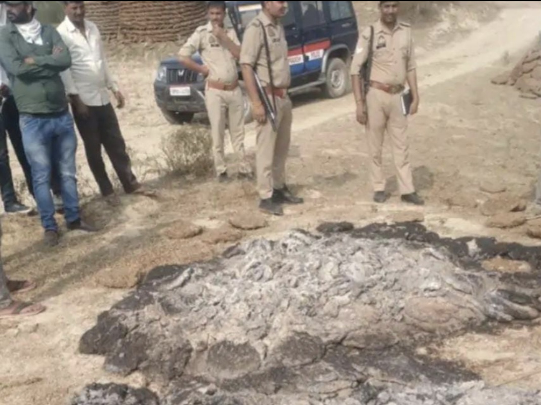 मिढ़ावली के जंगलों में जला हुआ शव मिढ़ावली के जंगलों में जला हुआ शव