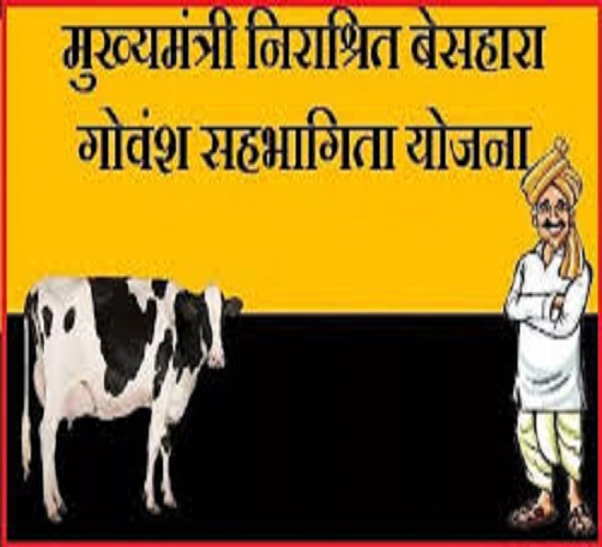 मुख्यमंत्री निराश्रित गोवंश सहभागिता योजना का प्रतीकात्मक छाया चित्र मुख्यमंत्री निराश्रित गोवंश सहभागिता योजना का प्रतीकात्मक छाया चित्र