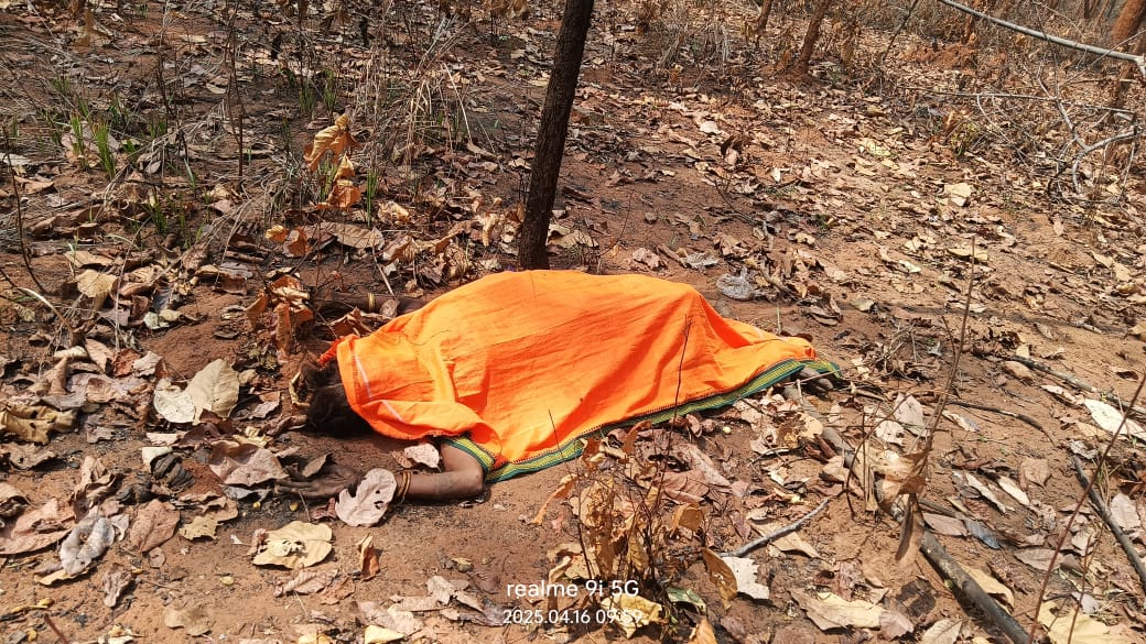हाथी के हमले में महिला की मौत। हाथी के हमले में महिला की मौत।