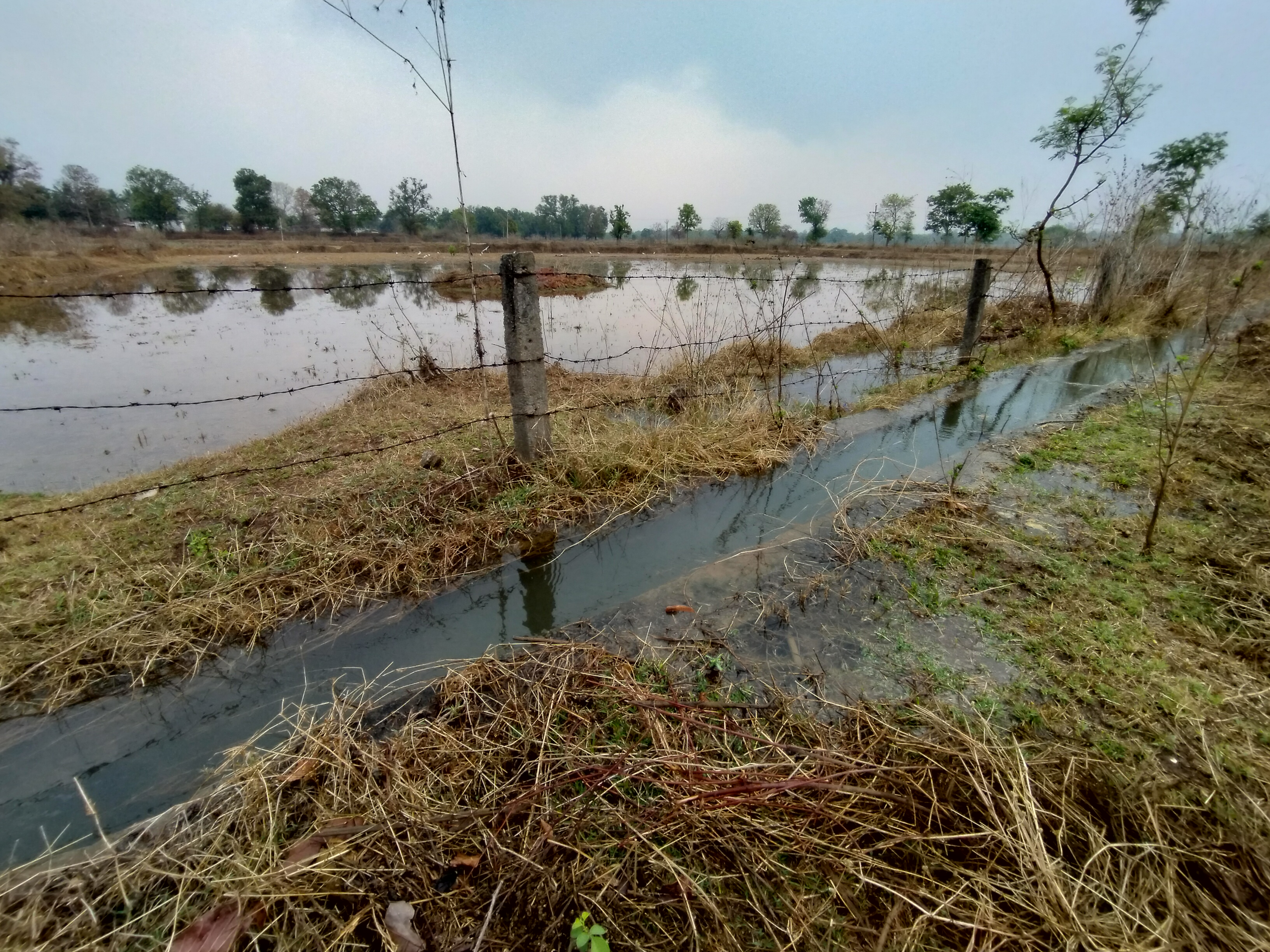 सिंचाई विभाग द्वारा छोड़ा गया पानी व्यर्थ बह रहा है। सिंचाई विभाग द्वारा छोड़ा गया पानी व्यर्थ बह रहा है।