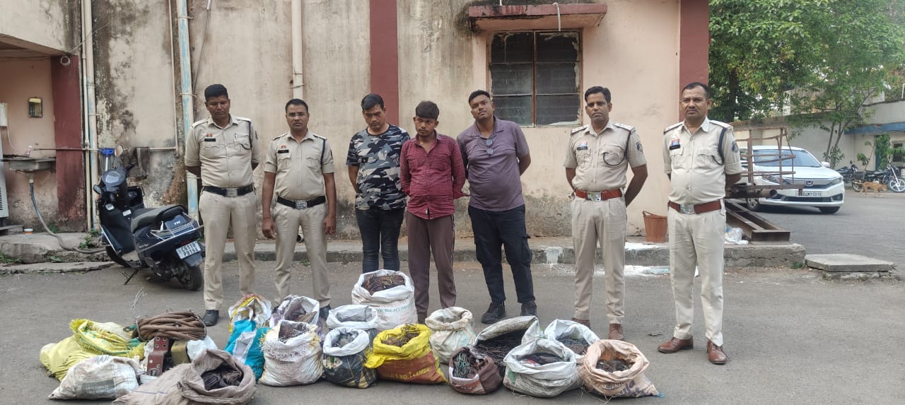 गिरफ्तार आरोपित गिरफ्तार आरोपित