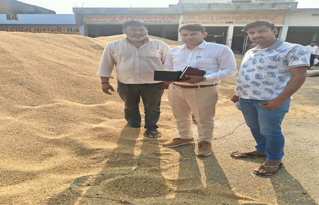 फसल की जांच करते अधिकारी। फसल की जांच करते अधिकारी।