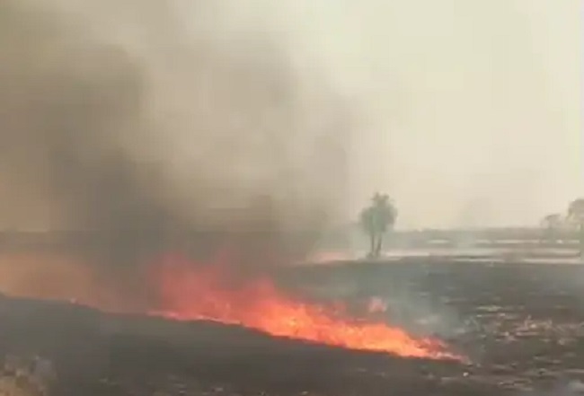 खेत में आग लगने से 10 बीघा नरवाई और 5 बीघा गेहूं की फसल जलकर खाक खेत में आग लगने से 10 बीघा नरवाई और 5 बीघा गेहूं की फसल जलकर खाक