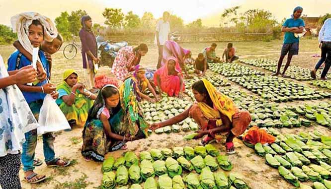 25 अप्रैल से शुरू होगी तेंदूपत्ता की खरीदी 25 अप्रैल से शुरू होगी तेंदूपत्ता की खरीदी