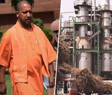 मुख्यमंत्री योगी आदित्यनाथ फाइल फोटो मुख्यमंत्री योगी आदित्यनाथ फाइल फोटो