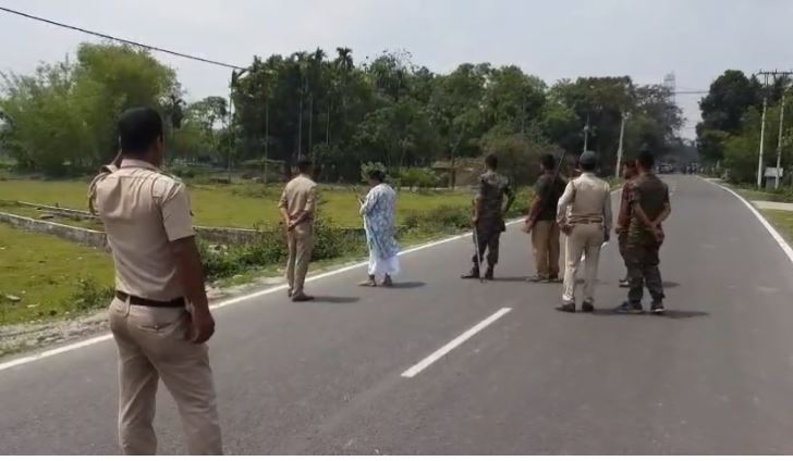 वनकर्मी बाइसन पर नजर रखते हुए वनकर्मी बाइसन पर नजर रखते हुए