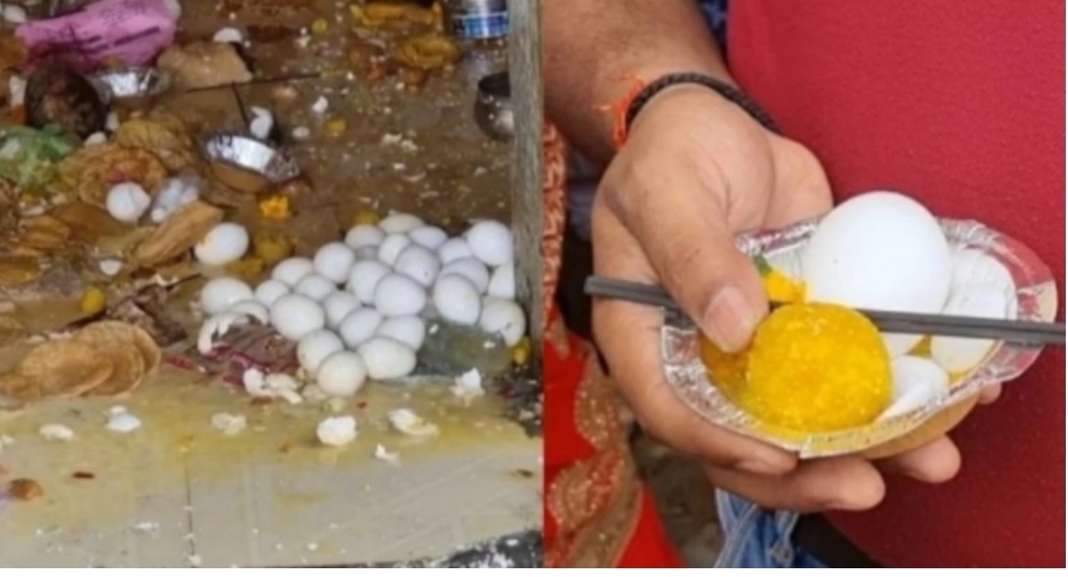 फोटो फोटो