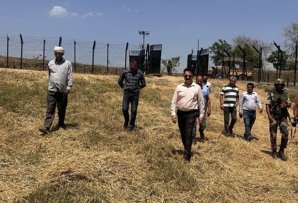 Wheat harvesting started in Hiranagar sector on Indo-Pak international border Wheat harvesting started in Hiranagar sector on Indo-Pak international border
