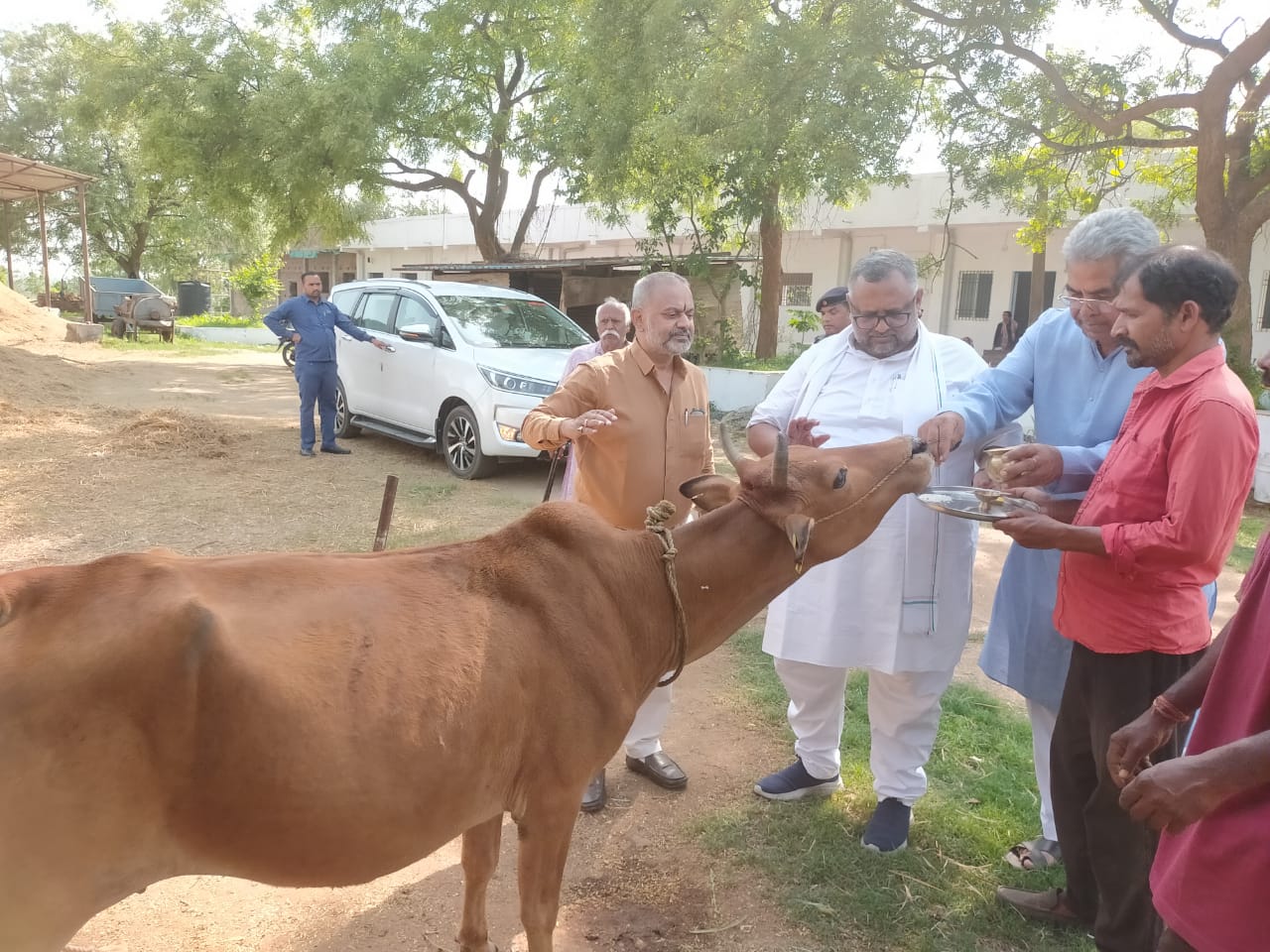 हुटूप गौशाला में गौ को घास खिलाते प्रदीप वर्मा की फोटो हुटूप गौशाला में गौ को घास खिलाते प्रदीप वर्मा की फोटो