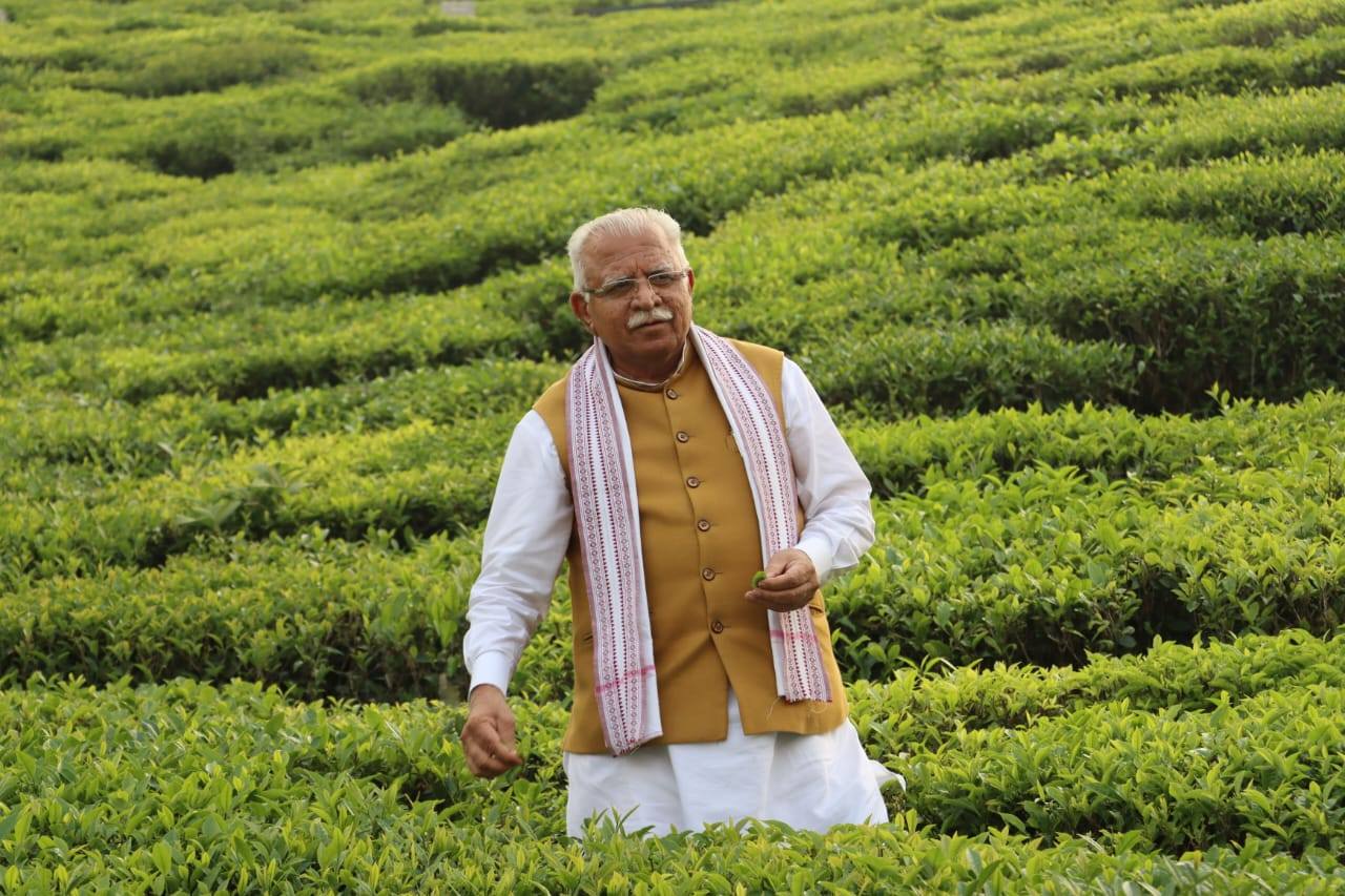केन्द्रिय मन्त्री मनोहर लाल खट्टरले जैविक तिमी चिया बगानको भ्रमण गरे केन्द्रिय मन्त्री मनोहर लाल खट्टरले जैविक तिमी चिया बगानको भ्रमण गरे