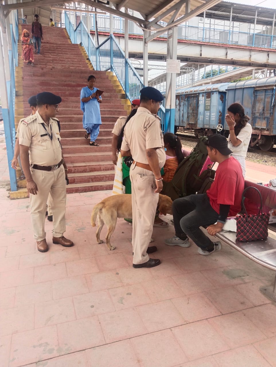 कोकराझार में एपीडीजे डॉग स्कॉट के साथ संयुक्त तलाशी एवं जांच अभियान चलाया। कोकराझार में एपीडीजे डॉग स्कॉट के साथ संयुक्त तलाशी एवं जांच अभियान चलाया।