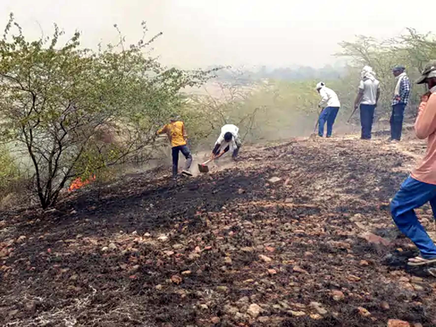 आग बुझाने में लगे छात्र व मजदूर। आग बुझाने में लगे छात्र व मजदूर।