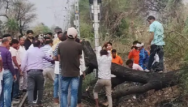 शाजापुर-सारंगपुर के बीच रेल ट्रैक पर गिरा पेड़ शाजापुर-सारंगपुर के बीच रेल ट्रैक पर गिरा पेड़
