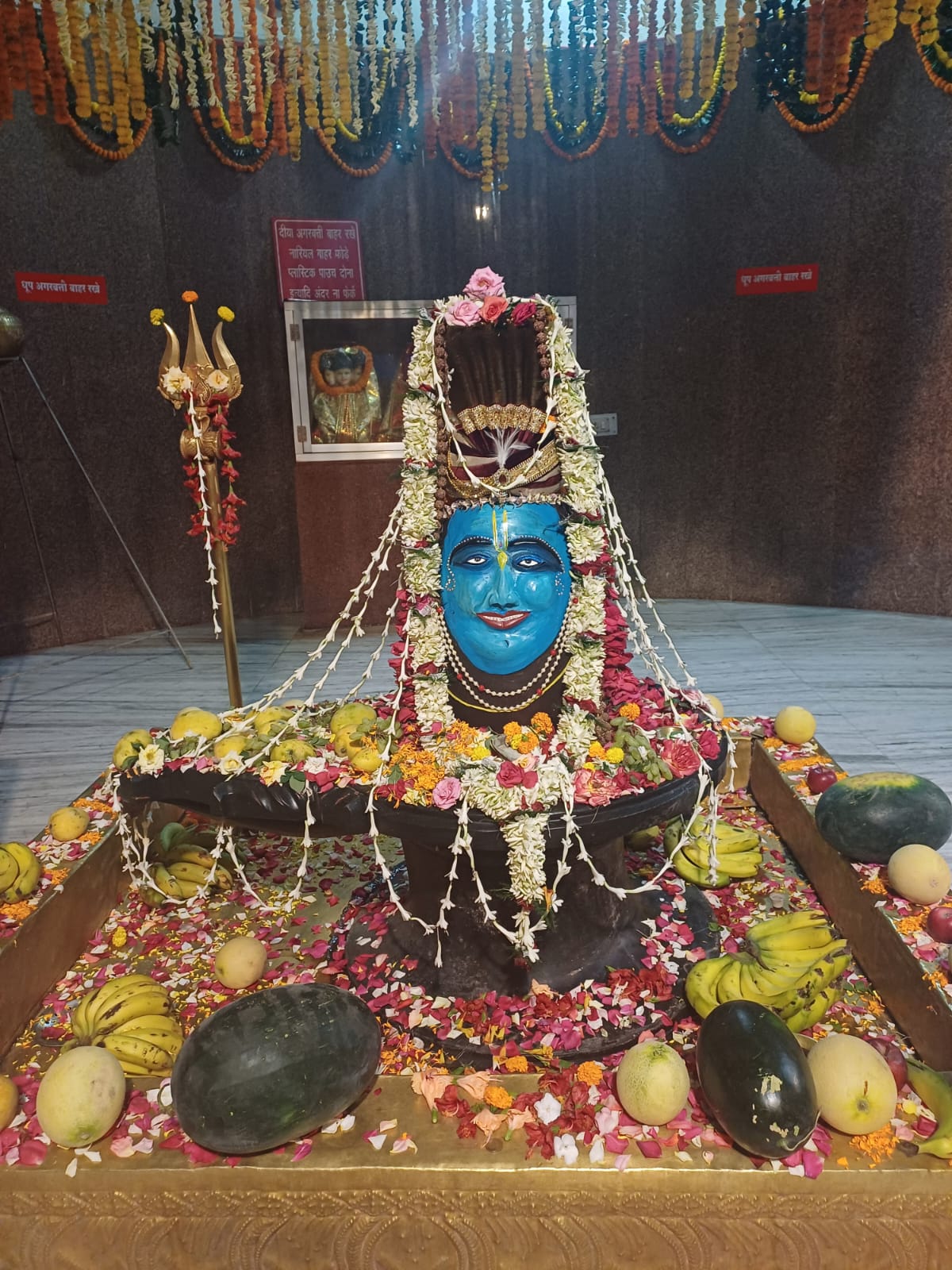 भगवान भोलेनाथ की  तस्वीर