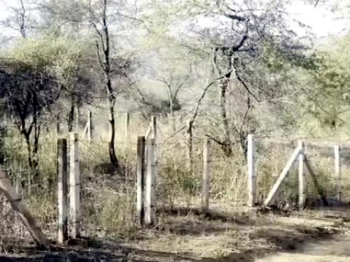 फरीदाबाद में फैली अरावली, जहां पार्क बनेगा। फरीदाबाद में फैली अरावली, जहां पार्क बनेगा।