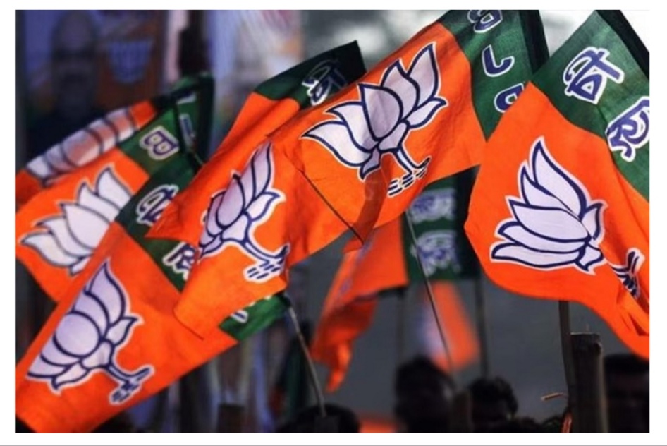 कमल निशान। कमल निशान।