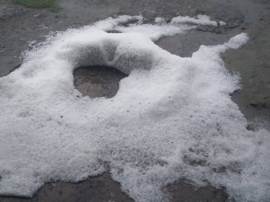 चिन्यालीसौड़ के बिष्ट, हातड़- दशगी पट्टी क में ओलावृष्टि से फसलें हुईं बर्बाद।। चिन्यालीसौड़ के बिष्ट, हातड़- दशगी पट्टी क में ओलावृष्टि से फसलें हुईं बर्बाद।।
