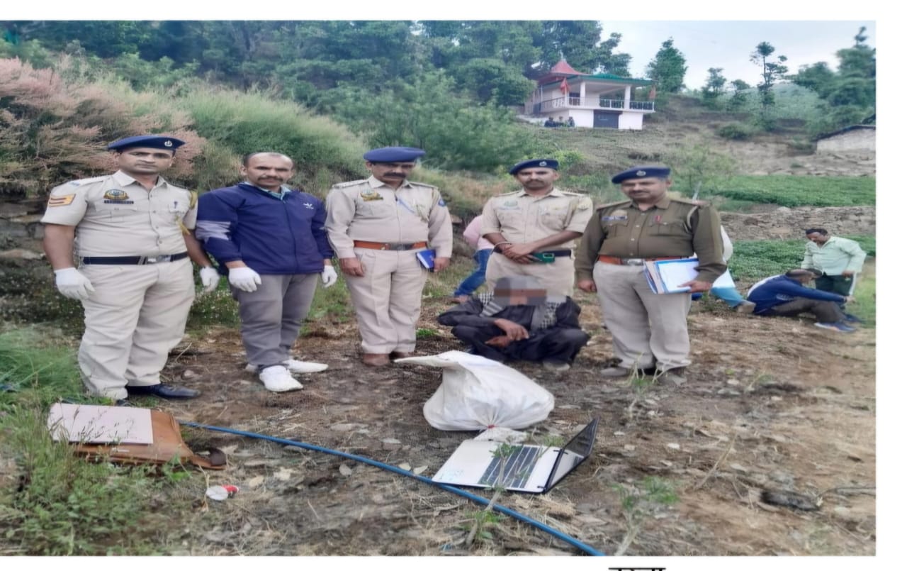 अफीम की खेती का भंडाफोड़, 560 पौधे बरामद, एक गिरफ्तार अफीम की खेती का भंडाफोड़, 560 पौधे बरामद, एक गिरफ्तार