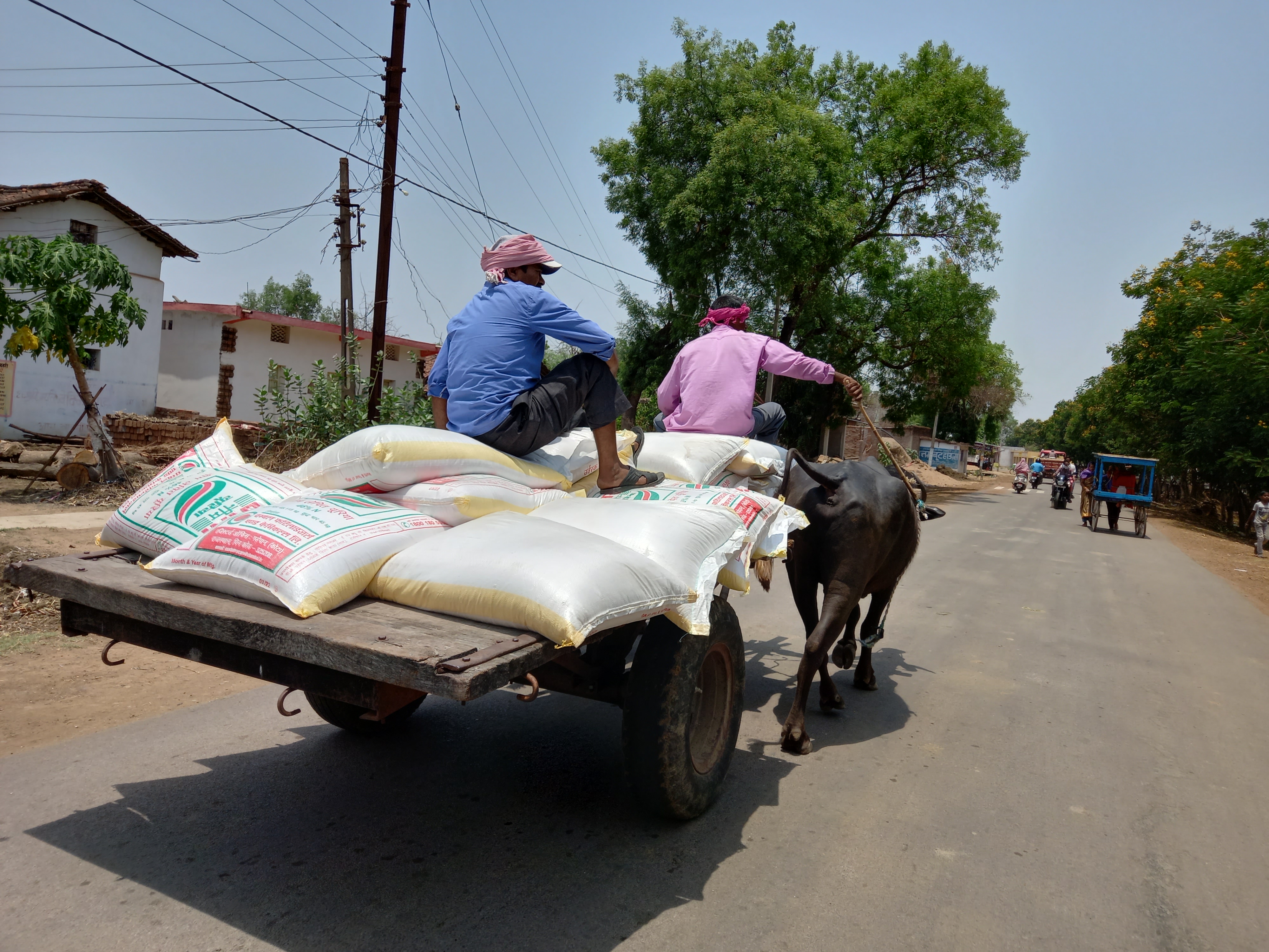 खाद ले जाता हुुआ किसान। फाईल खाद ले जाता हुुआ किसान। फाईल