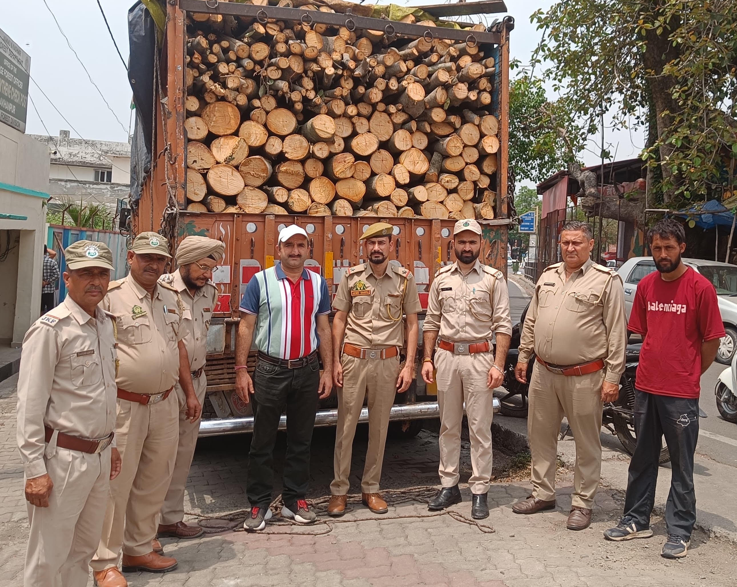 Forest Department Lakhanpur seized 02 trucks loaded with illegal wood Forest Department Lakhanpur seized 02 trucks loaded with illegal wood