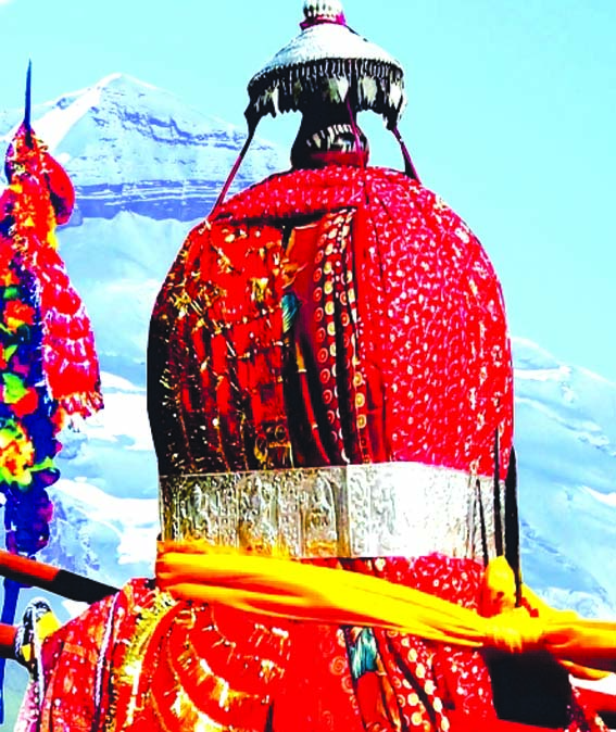 डोली का फाइल फोटो डोली का फाइल फोटो