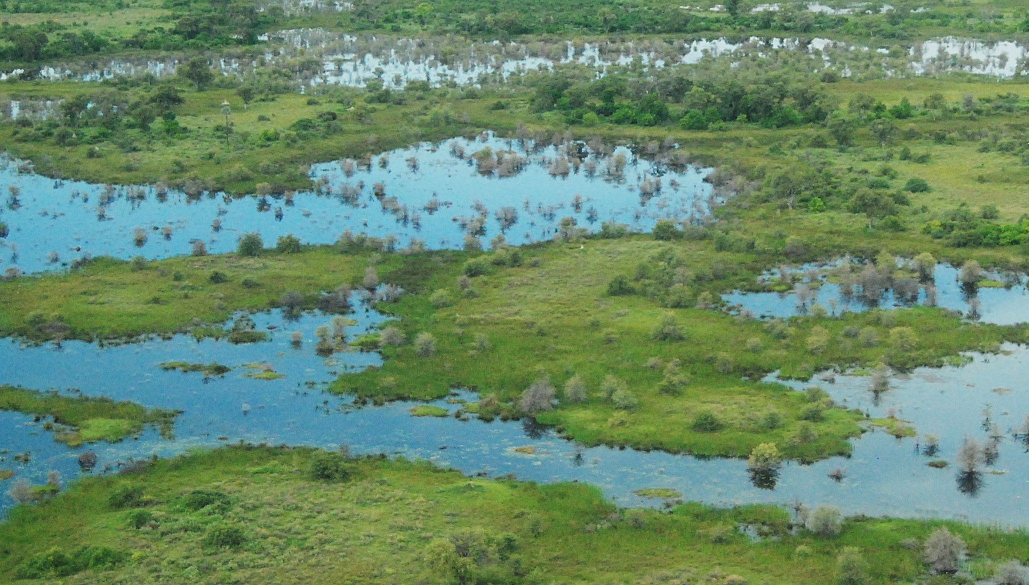 आद्रभूमि (Wet land) प्रतिनिधि चित्र आद्रभूमि (Wet land) प्रतिनिधि चित्र