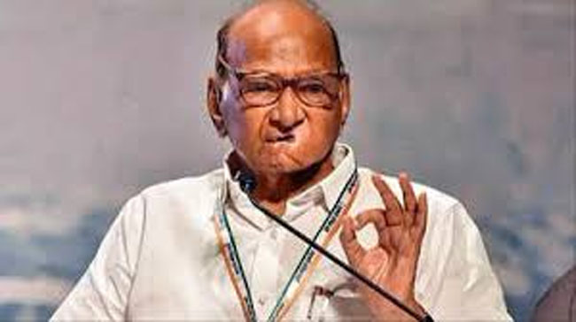 फाईल फोटो: पूर्व रक्षा मंत्री शरद पवार फाईल फोटो: पूर्व रक्षा मंत्री शरद पवार