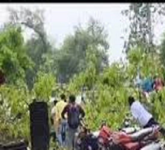 प्रयागराज में आंधी के दौरान के बाद का छाया चित्र प्रयागराज में आंधी के दौरान के बाद का छाया चित्र