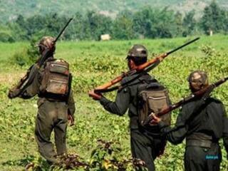 ग्रे हाउंड ग्रे हाउंड