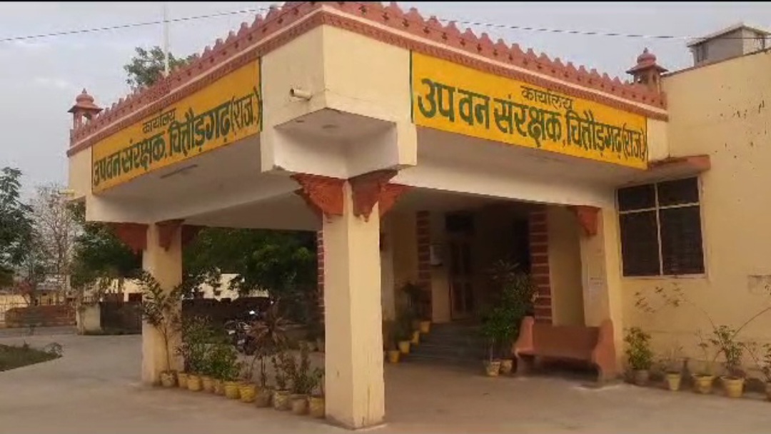 चित्तौड़गढ़ जिले में हुई बरसात एवं देश में आपात स्थिति के चलते वन विभाग ने वन्य जीव गणना आगे बढ़ाई। चित्तौड़गढ़ जिले में हुई बरसात एवं देश में आपात स्थिति के चलते वन विभाग ने वन्य जीव गणना आगे बढ़ाई।
