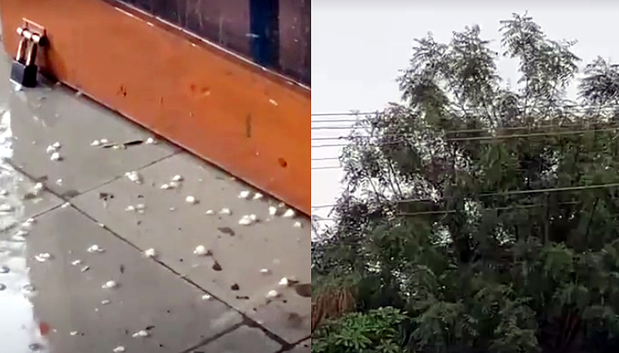 हनुमानगढ़ में तेज आंधी के बाद तेज बारिश से लोगों को मिली चिलचिलाती गर्मी से राहत हनुमानगढ़ में तेज आंधी के बाद तेज बारिश से लोगों को मिली चिलचिलाती गर्मी से राहत
