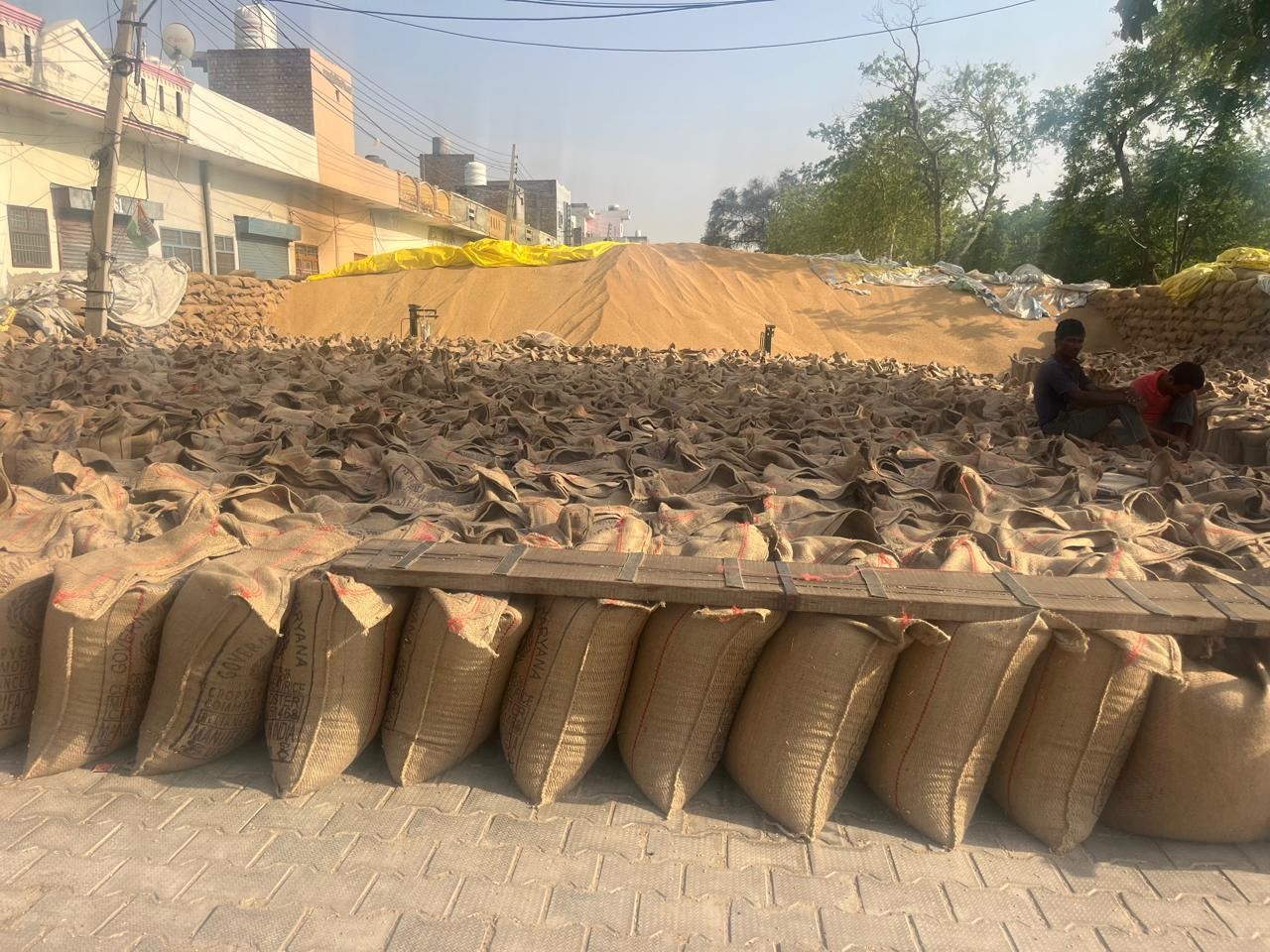मंडी में पड़ी गेहूं की फसल।