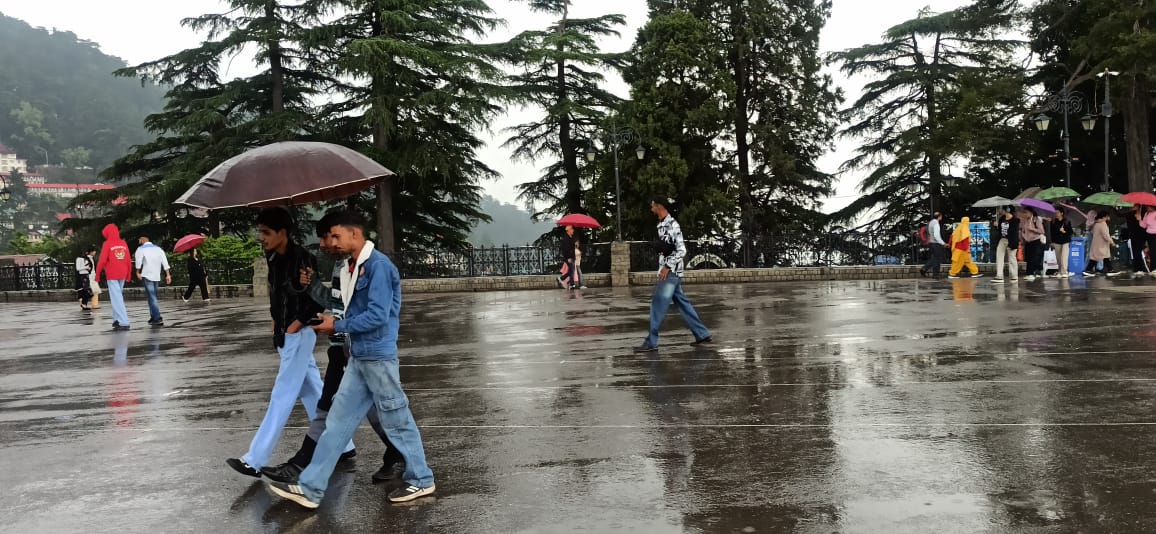 शिमला में बारिश शिमला में बारिश